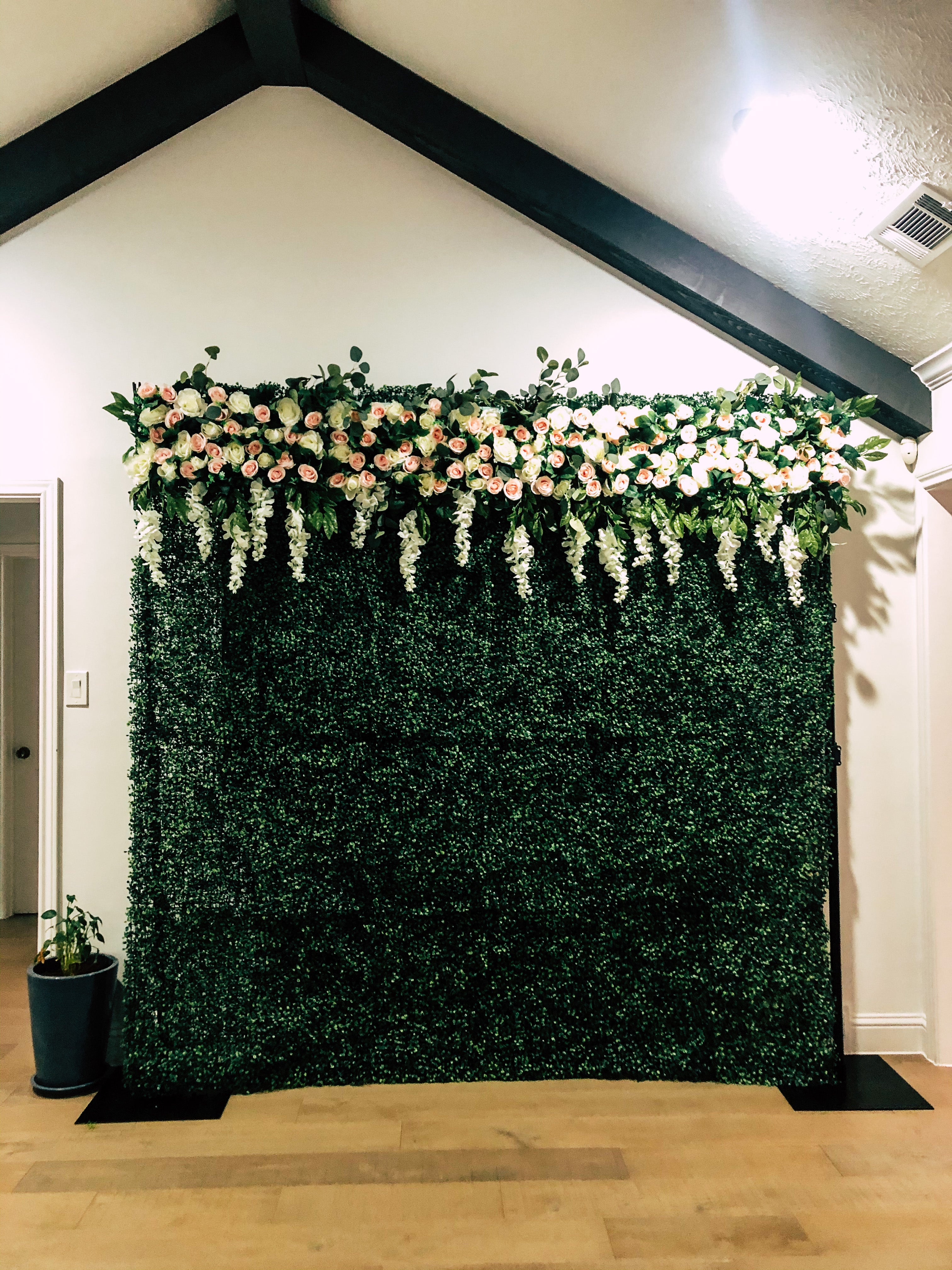 Boxwood Hedge Backdrop With White & Pink Roses